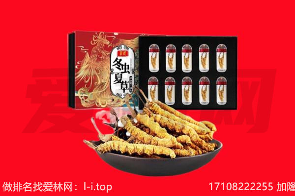 通许县回收虫草.jpg